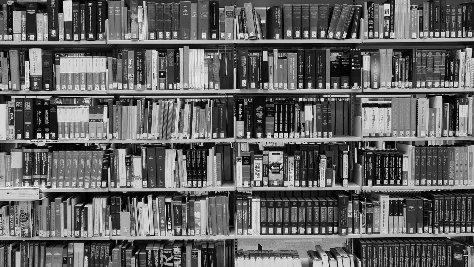 Publikationen Titelbild